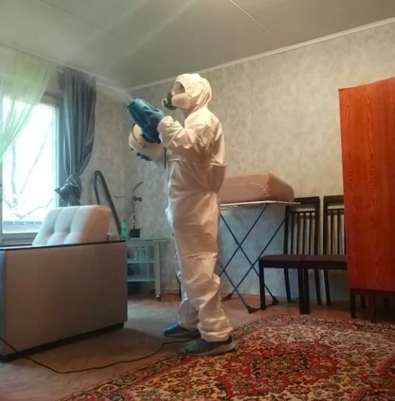 дезинсекция квартиры в Ревде